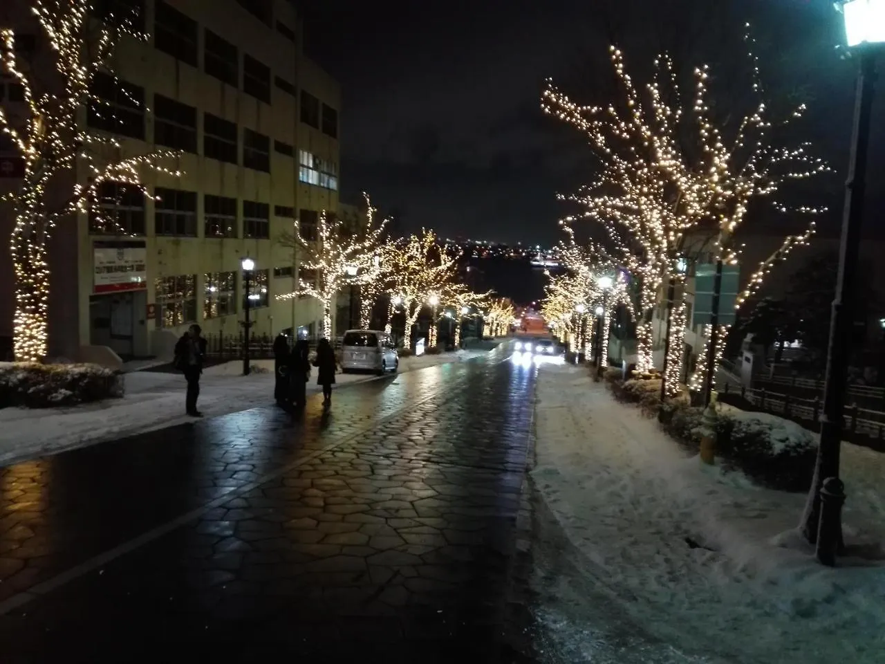 Corpo Marika B Apartment Hakodate